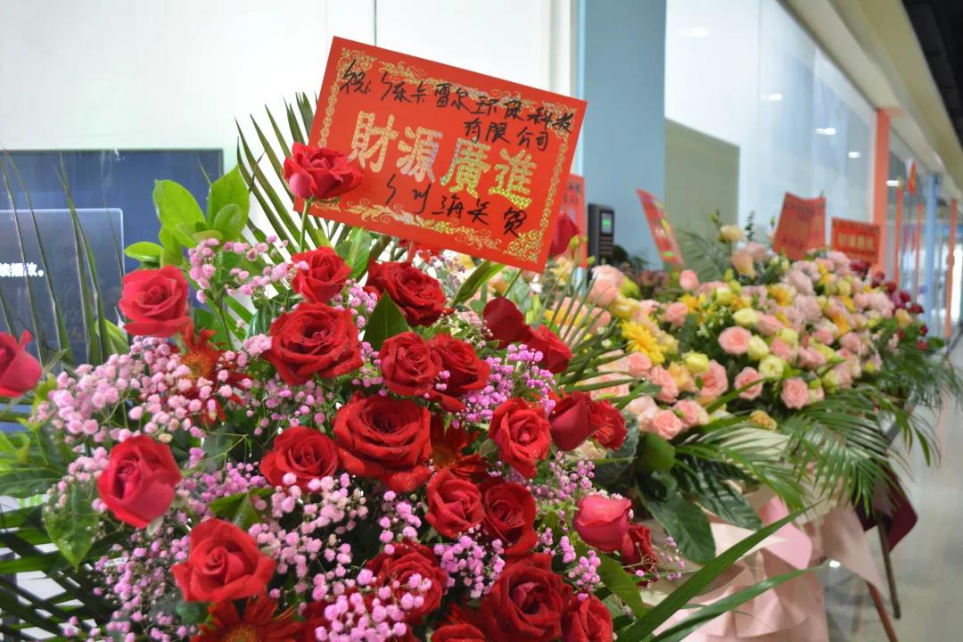 跑出世界速度，環(huán)保紙模先行者卡雷爾落地南沙